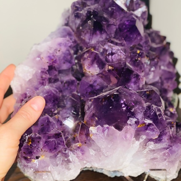 Meet your Posher, Nourishing - Picture 3 of 8